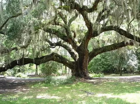 1330 State Park Rd, Chipley, FL 32428 photo 1