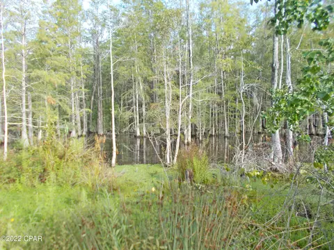 00 Perry Rd, Cottondale, FL 32431 photo 7
