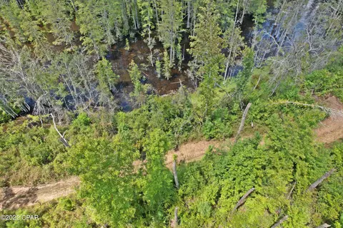 00 Perry Rd, Cottondale, FL 32431 photo 16