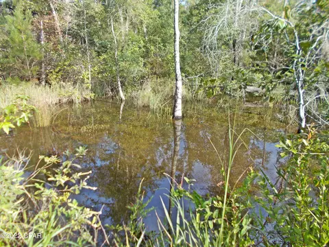 00 Perry Rd, Cottondale, FL 32431 photo 11