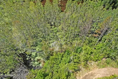 00 Perry Rd, Cottondale, FL 32431 photo 6
