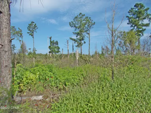 00 Perry Rd, Cottondale, FL 32431 photo 14