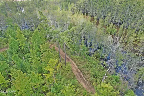 00 Perry Rd, Cottondale, FL 32431 photo 5