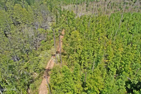 00 Perry Rd, Cottondale, FL 32431 photo 15
