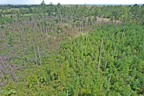 00 Perry Rd, Cottondale, FL 32431 photo 12