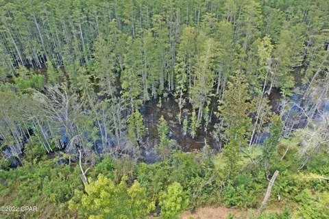 00 Perry Rd, Cottondale, FL 32431