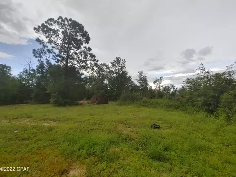 3995 Oak Hill Rd, Chipley, FL 32428 photo 3