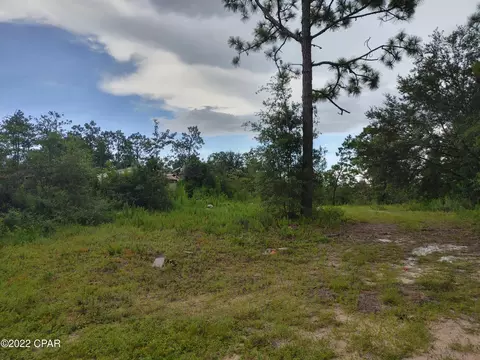 3995 Oak Hill Rd, Chipley, FL 32428 photo 1