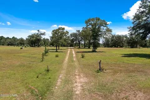 3702 Pine Log Rd, Chipley, FL 32428 photo 6