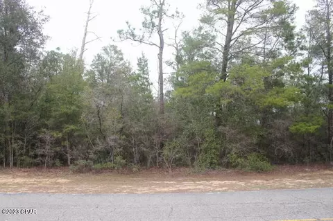 0 Shenandoah Blvd #20-21, Chipley, FL 32428
