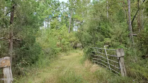 00 Buttercup Ln, Marianna, FL 32446