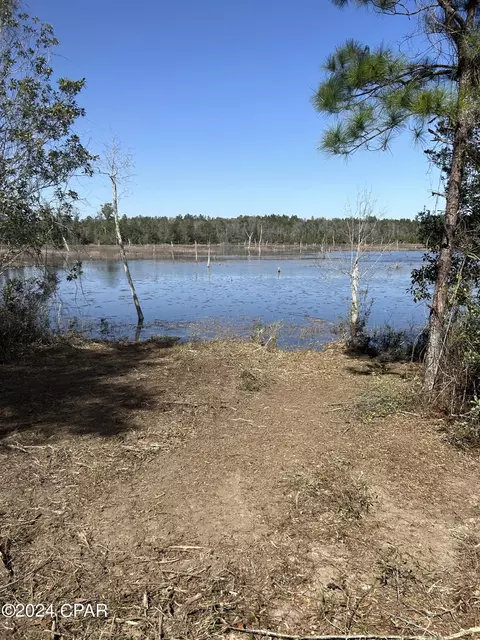 00 Pike Pond Rd, Chipley, FL 32428 photo 10