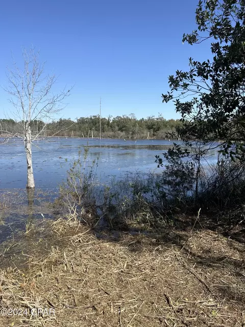 00 Pike Pond Rd, Chipley, FL 32428 photo 11