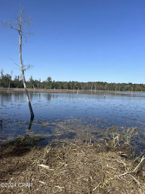 00 Pike Pond Rd, Chipley, FL 32428 photo 8