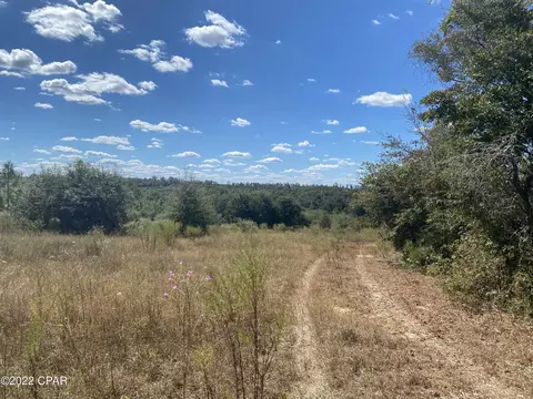 00 Pike Pond Rd, Chipley, FL 32428 photo 2