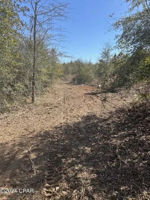 00 Pike Pond Rd, Chipley, FL 32428 photo 5