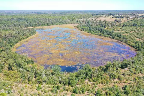 00 Pike Pond Rd, Chipley, FL 32428 photo 15