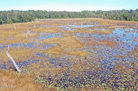 00 Pike Pond Rd, Chipley, FL 32428 photo 14