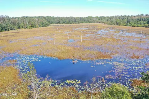 00 Pike Pond Rd, Chipley, FL 32428 photo 13