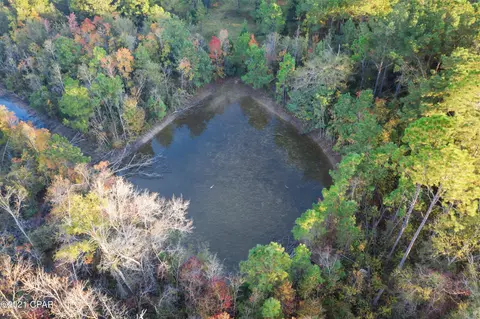 974 Brickyard Rd, Chipley, FL 32428 photo 3