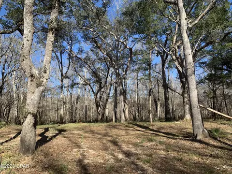 lot5 Big Cedar Rd, Ponce De Leon, FL 32455