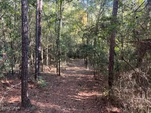 3707 Viking Dr, Chipley, FL 32428 photo 4