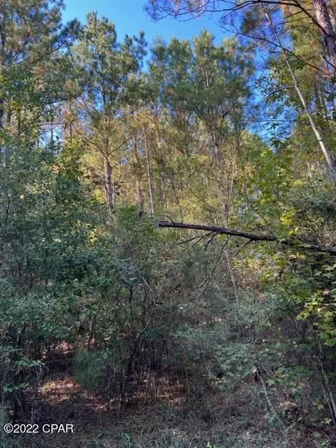 3707 Viking Dr, Chipley, FL 32428 photo 6