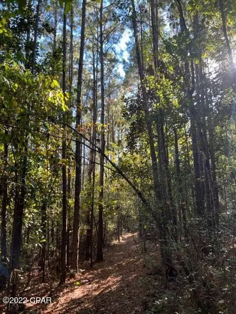 3707 Viking Dr, Chipley, FL 32428 photo 3