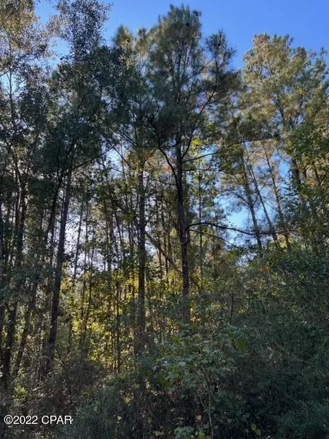 3707 Viking Dr, Chipley, FL 32428 photo 7