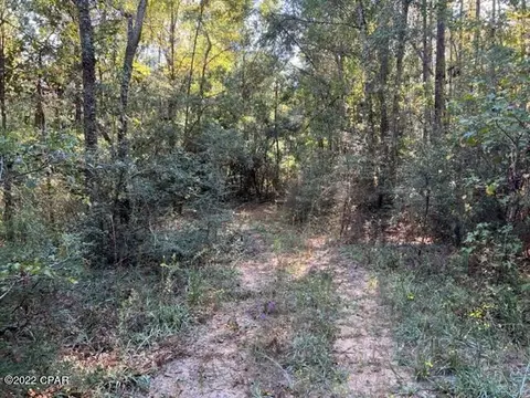 3707 Viking Dr, Chipley, FL 32428 photo 5