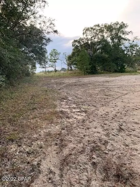 605 Mine Rd, Midway, FL 32343 photo 11