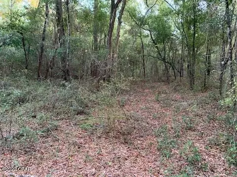 605 Mine Rd, Midway, FL 32343 photo 9