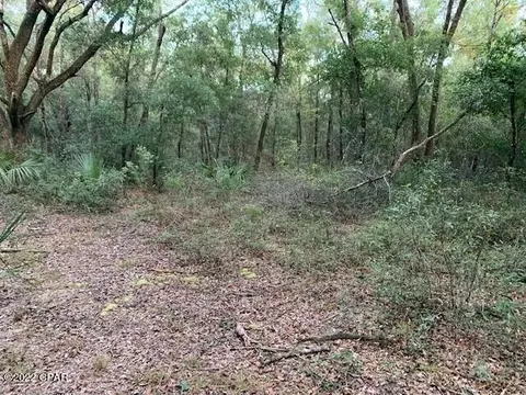 605 Mine Rd, Midway, FL 32343 photo 8
