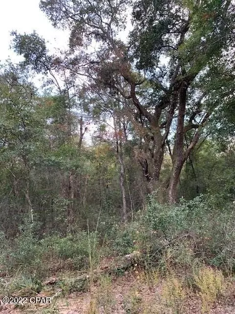 605 Mine Rd, Midway, FL 32343 photo 5