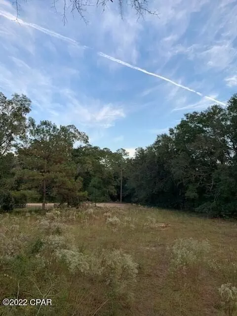 605 Mine Rd, Midway, FL 32343 photo 16