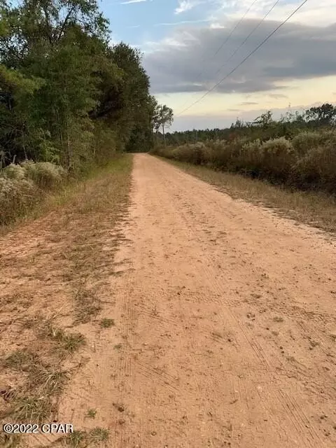 605 Mine Rd, Midway, FL 32343 photo 13
