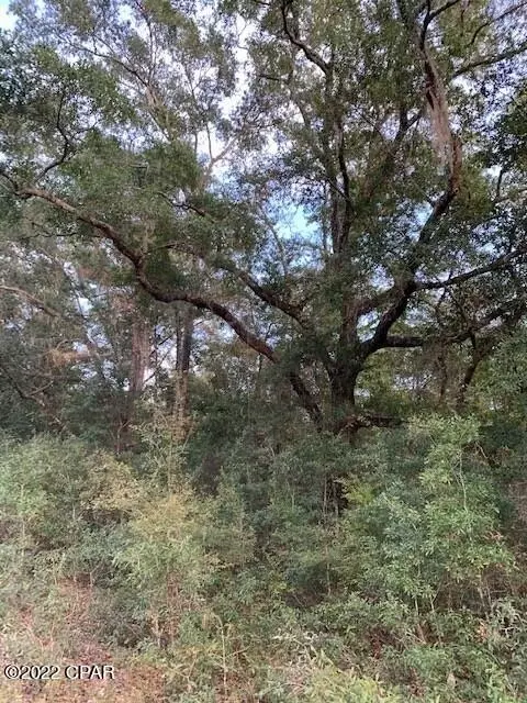 605 Mine Rd, Midway, FL 32343 photo 4