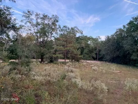 605 Mine Rd, Midway, FL 32343 photo 14