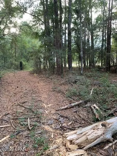 605 Mine Rd, Midway, FL 32343 photo 10