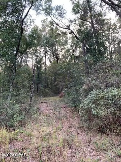605 Mine Rd, Midway, FL 32343 photo 7