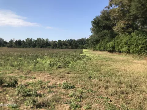 8390 Aci Dr, Sneads, FL 32460 photo 14