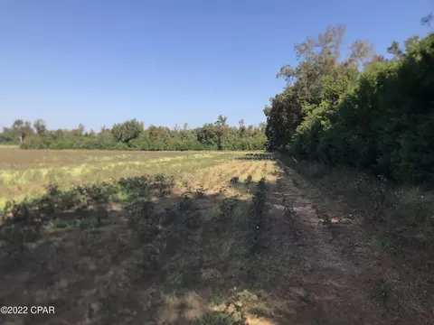 8390 Aci Dr, Sneads, FL 32460 photo 12