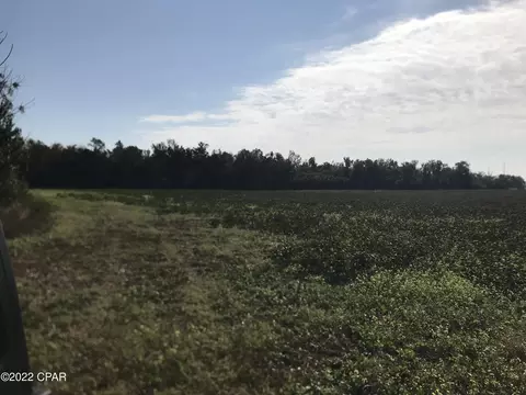 8390 Aci Dr, Sneads, FL 32460 photo 13