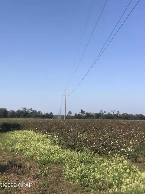 8390 Aci Dr, Sneads, FL 32460 photo 11
