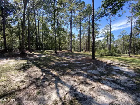 1146 Pine Forest Rd, Chipley, FL 32428 photo 54