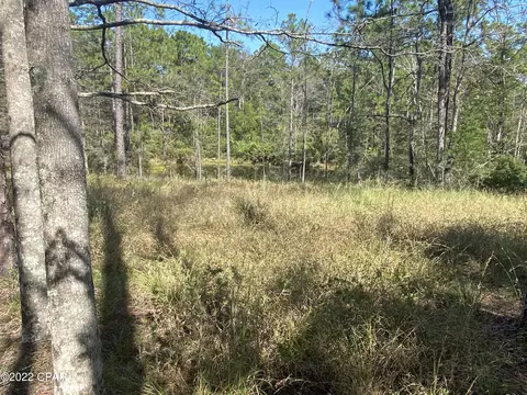 1146 Pine Forest Rd, Chipley, FL 32428 photo 57