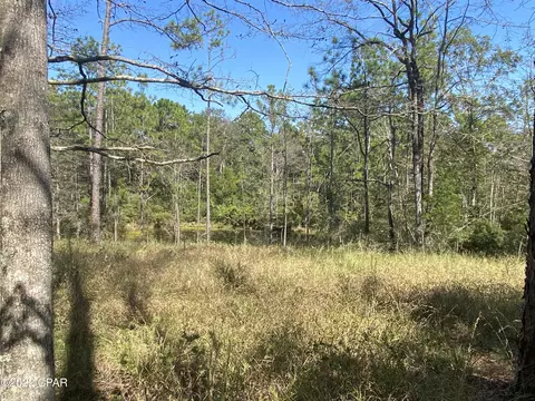 1146 Pine Forest Rd, Chipley, FL 32428 photo 56