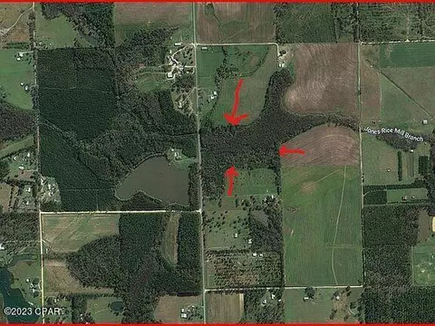 1502 Piney Grove Rd, Chipley, FL 32428 photo 5