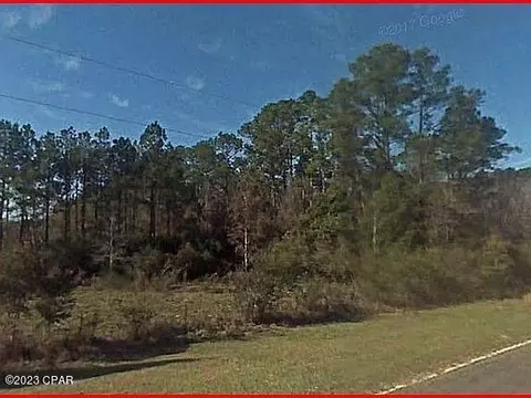 1502 Piney Grove Rd, Chipley, FL 32428 photo 1