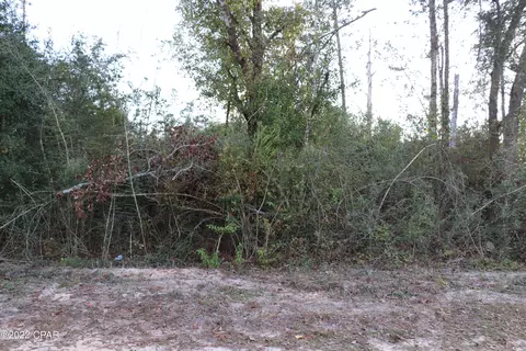 00 Camellia St, Fountain, FL 32438